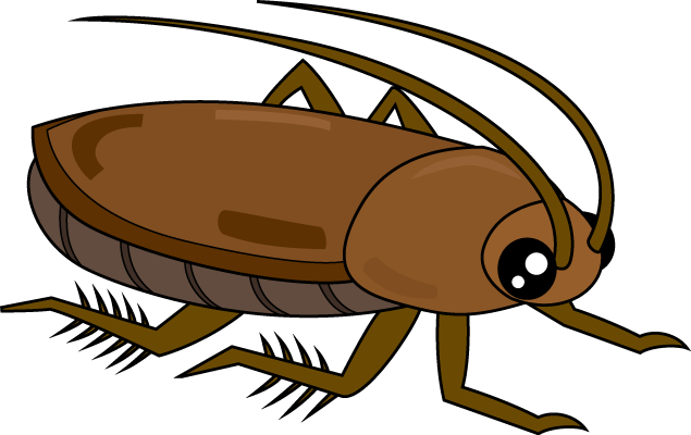 ゴキブリの糞の特徴 大きさや固さや臭いは 特徴 Com