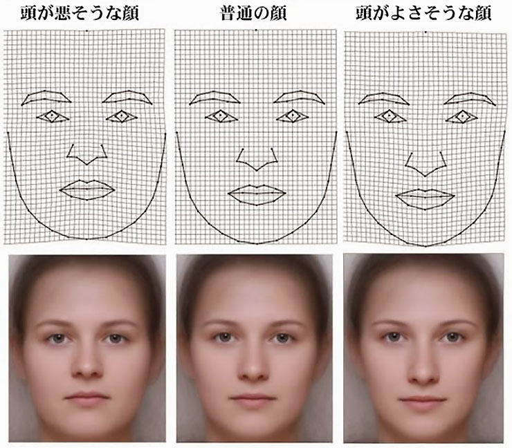 バカっぽい顔の特徴とは ポイントと化学的証拠10選 特徴 Com